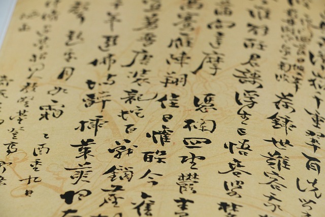 Chinese Language Private Chinese Tuition